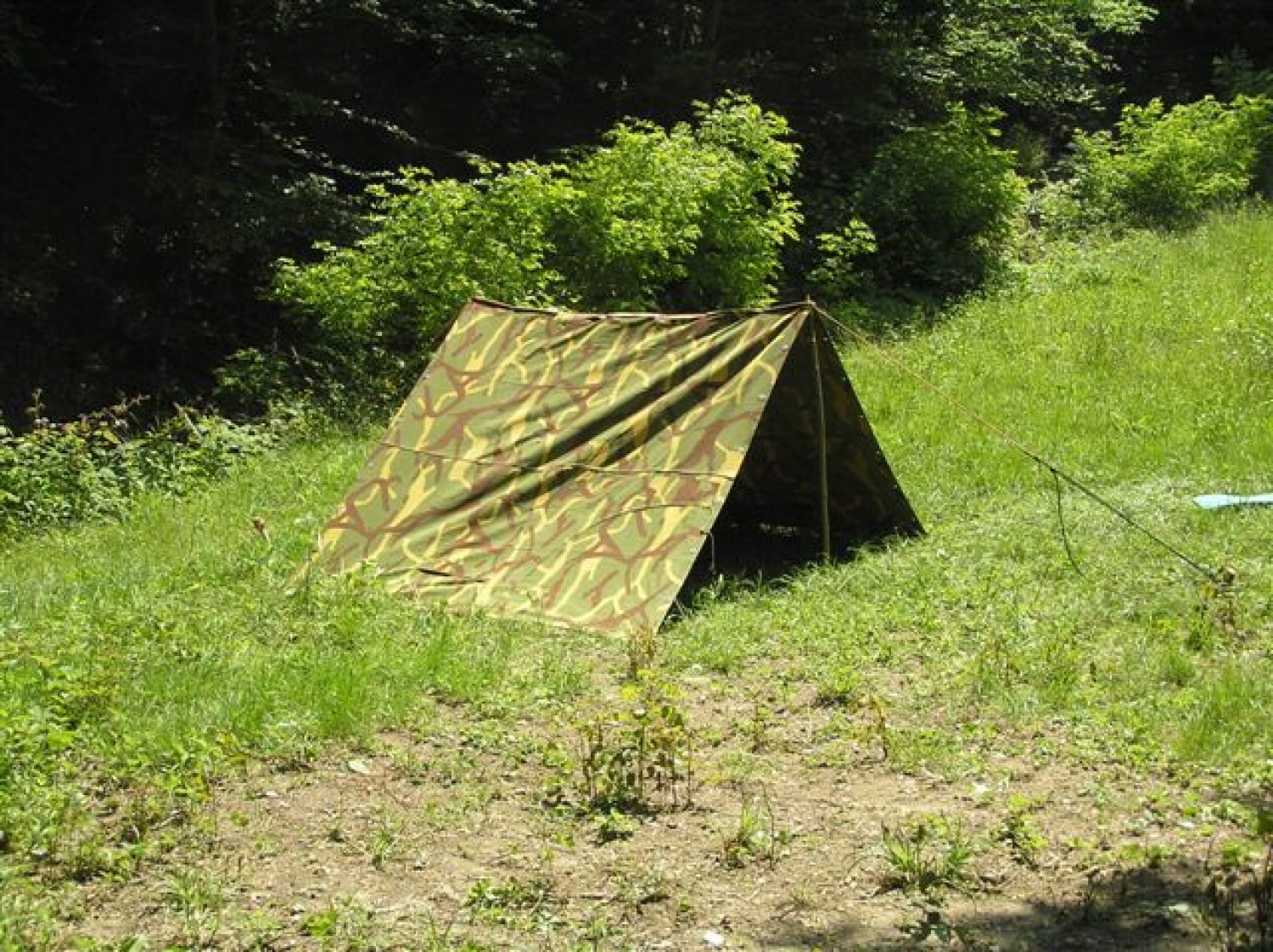 kar smo postavili...