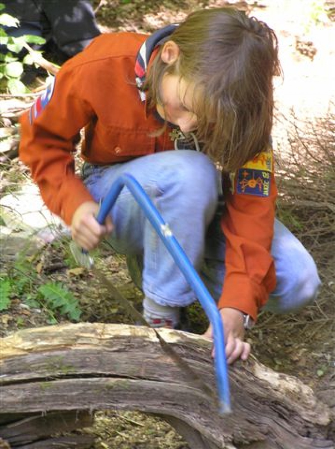 Žiga žaga žiga žaga