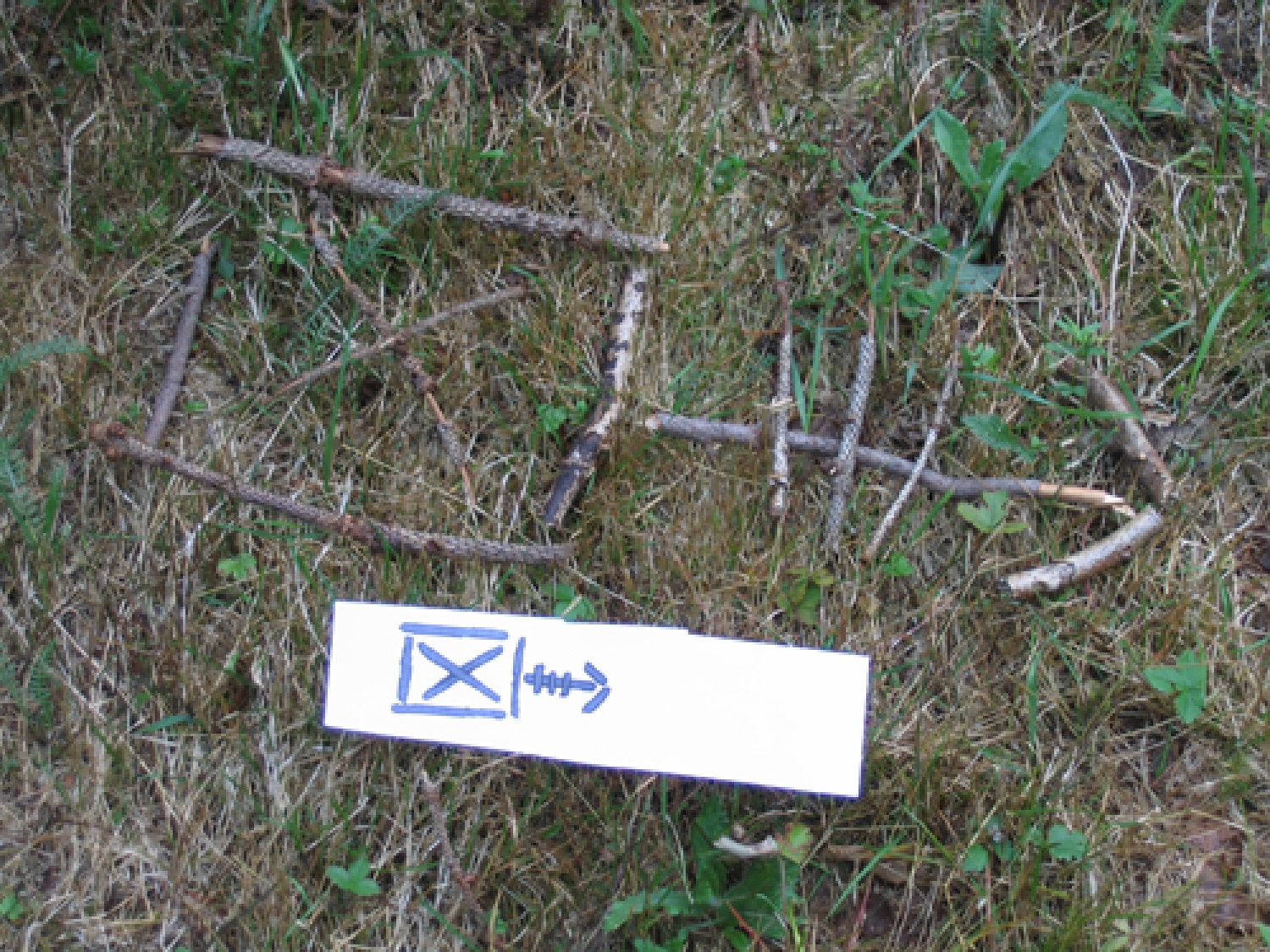 Obljube skupine Dornberk 1