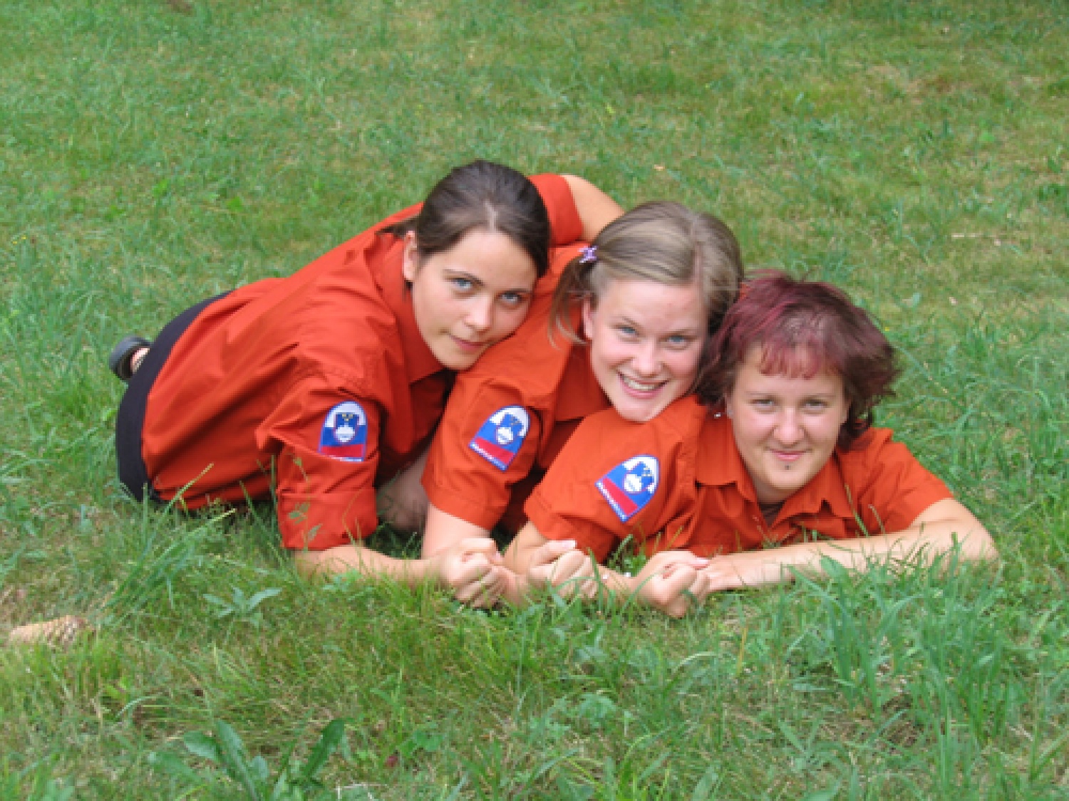 Obljube skupine Dornberk 1