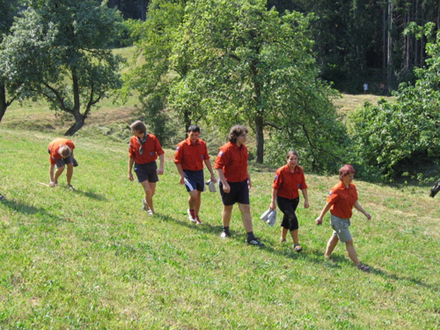 Obljube skupine Dornberk 1