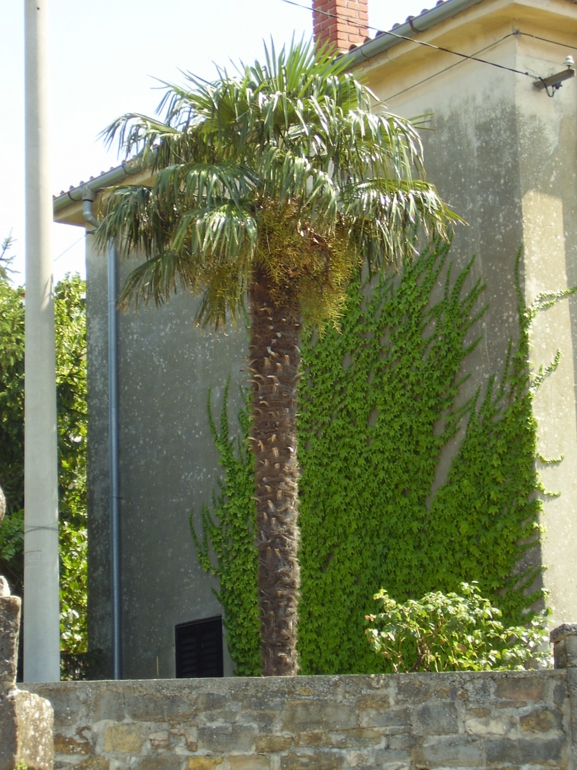 Načrtovanje in prelesti le-tega :-).