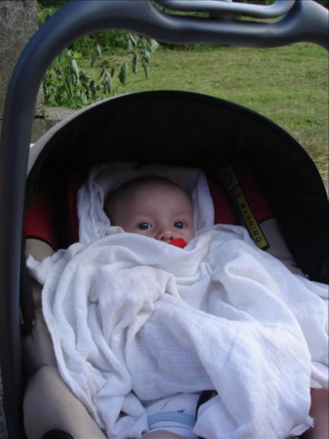 Najmlajši član osebja- Nino