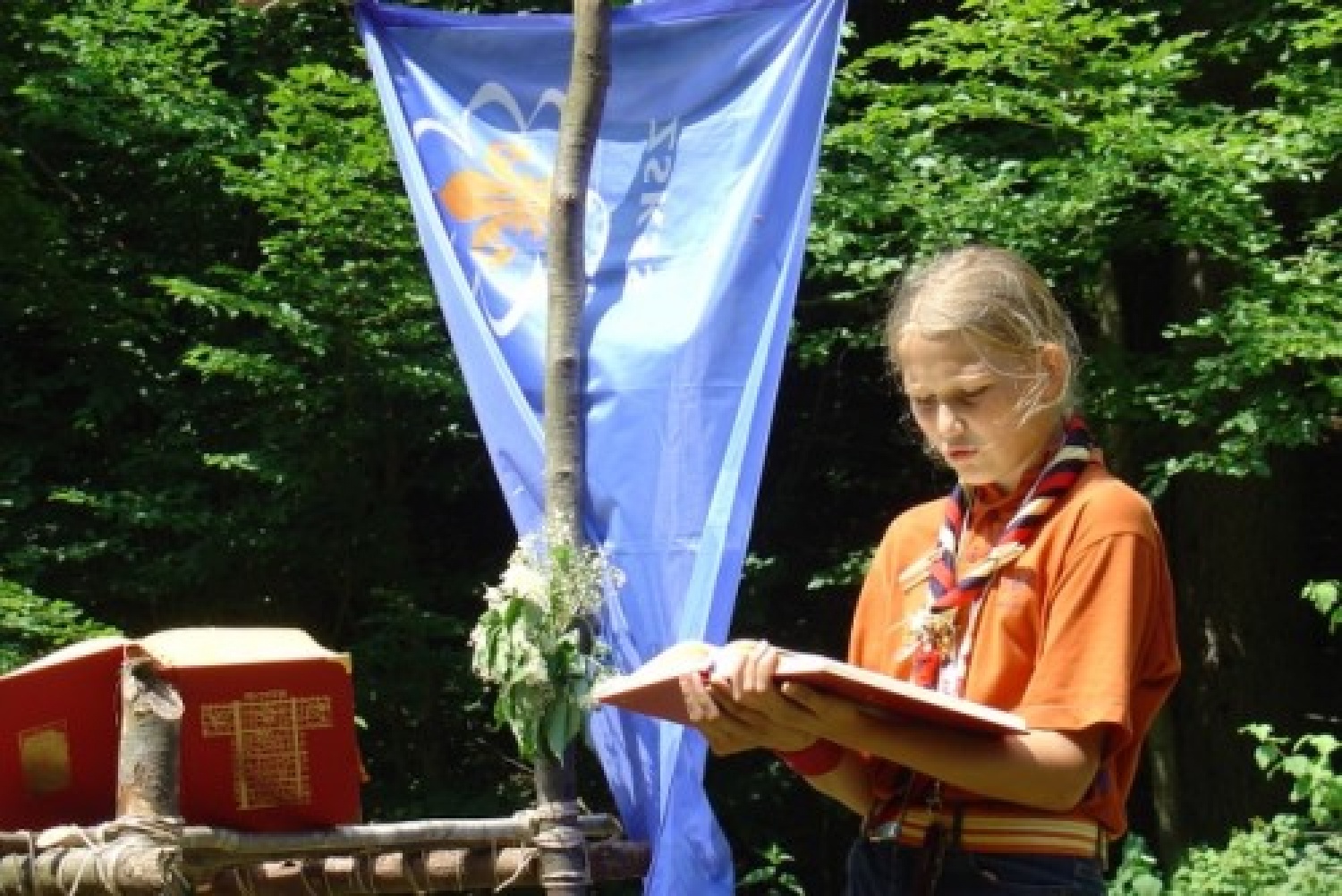 Tadeja v soju žarometov