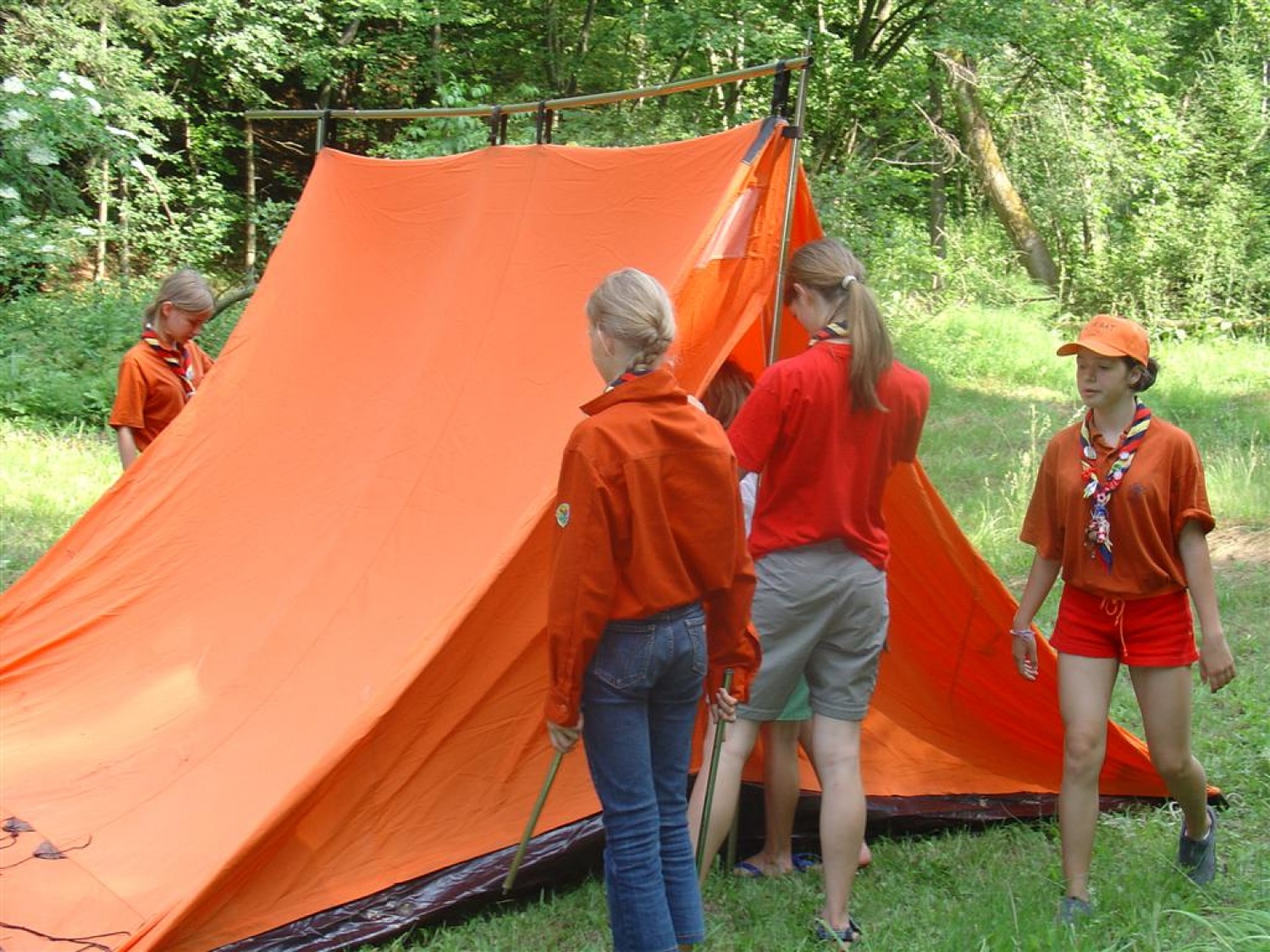 punce niso ravno diplomirale iz hitrosti