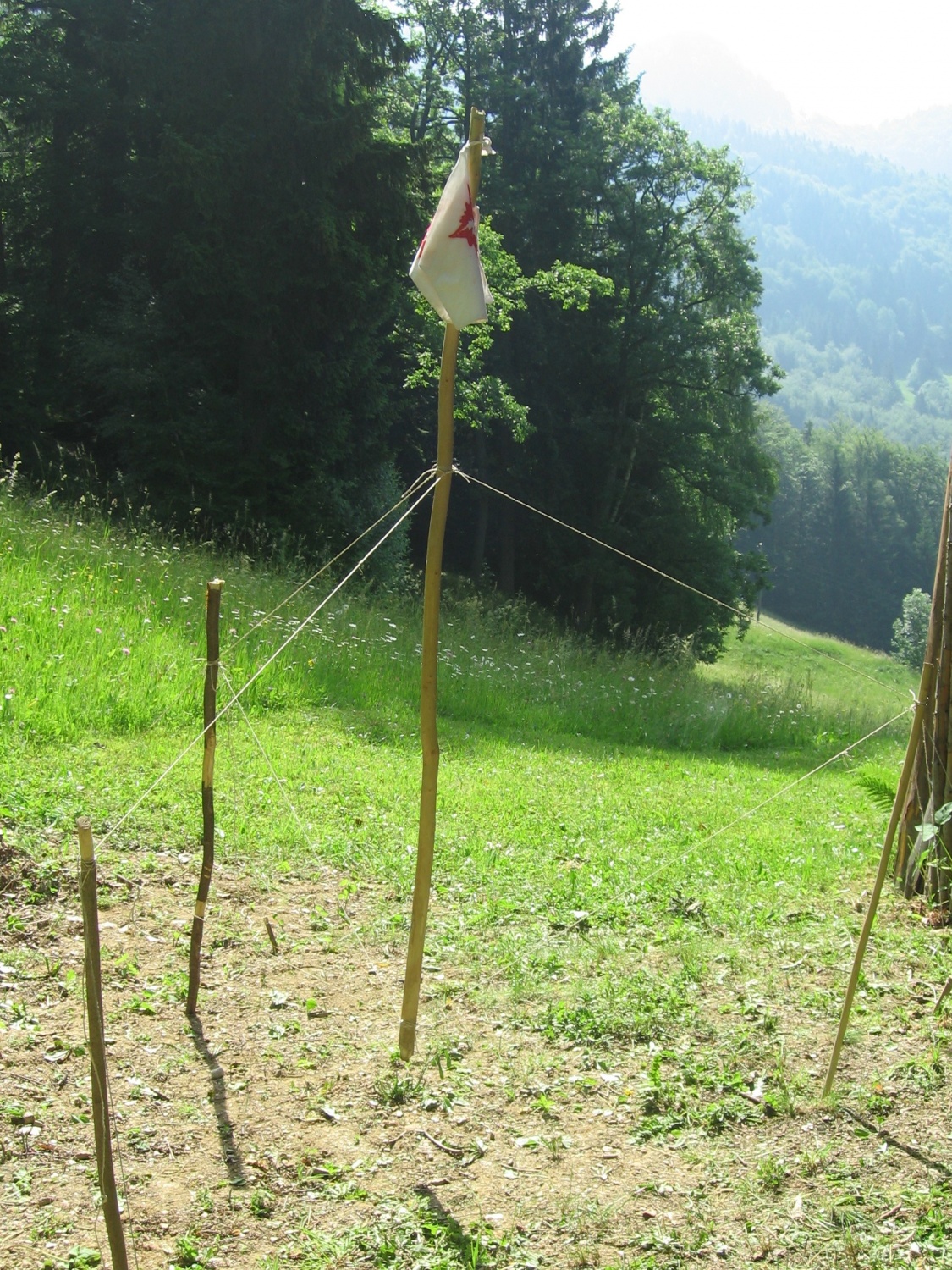 Slika našega jamborja