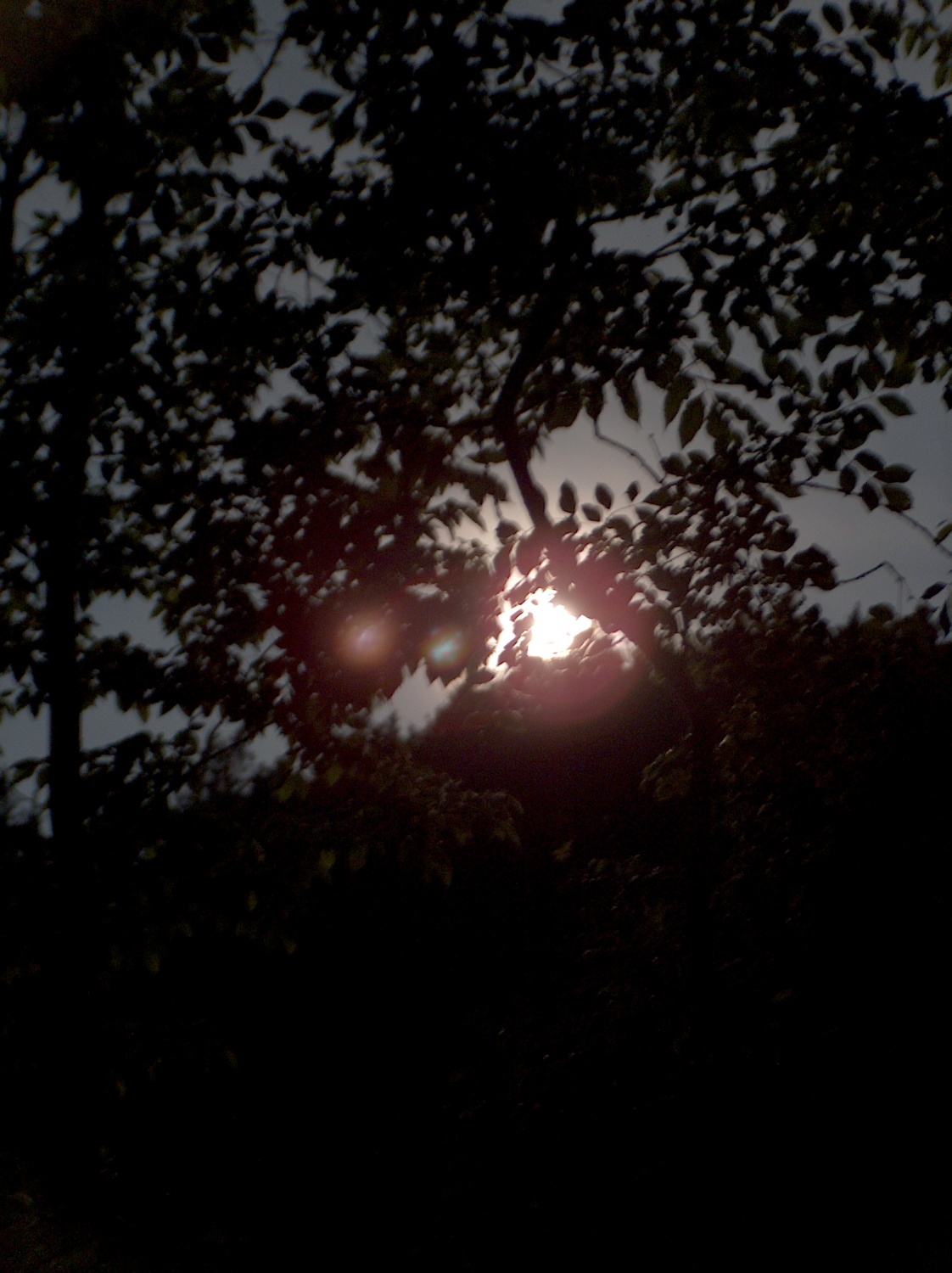 Kako smo preživeli naše zadnje srečanje v letošnjem letu.