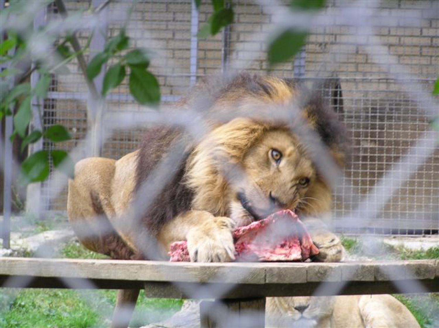 mmmmm, kako je dobro