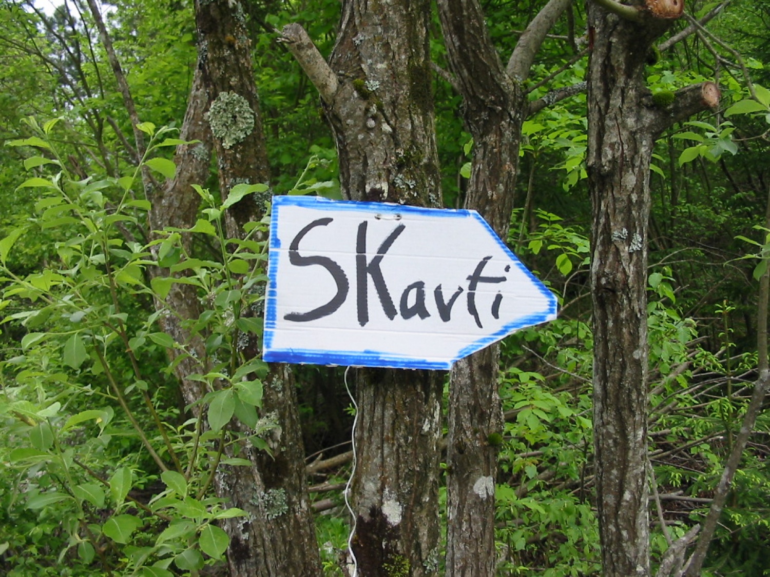 Utrinki iz obljub bovških skavtov.