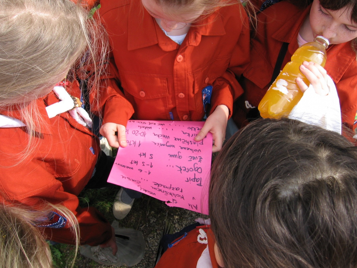 Čistilna akcija konjiškega krdela