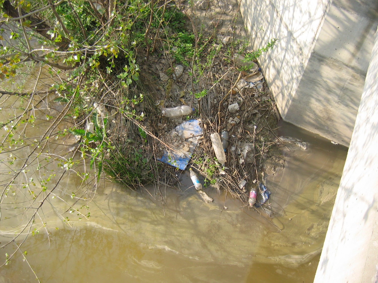 simbioza onesnaževanja