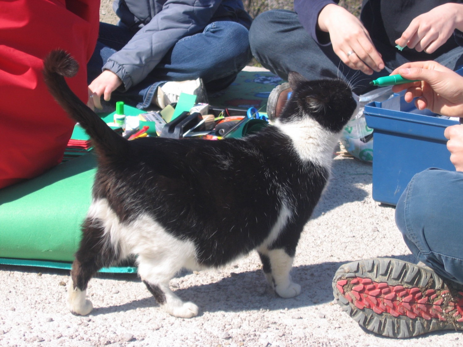 Dogajanje na MŠŽD-ju 2006 v slikah.