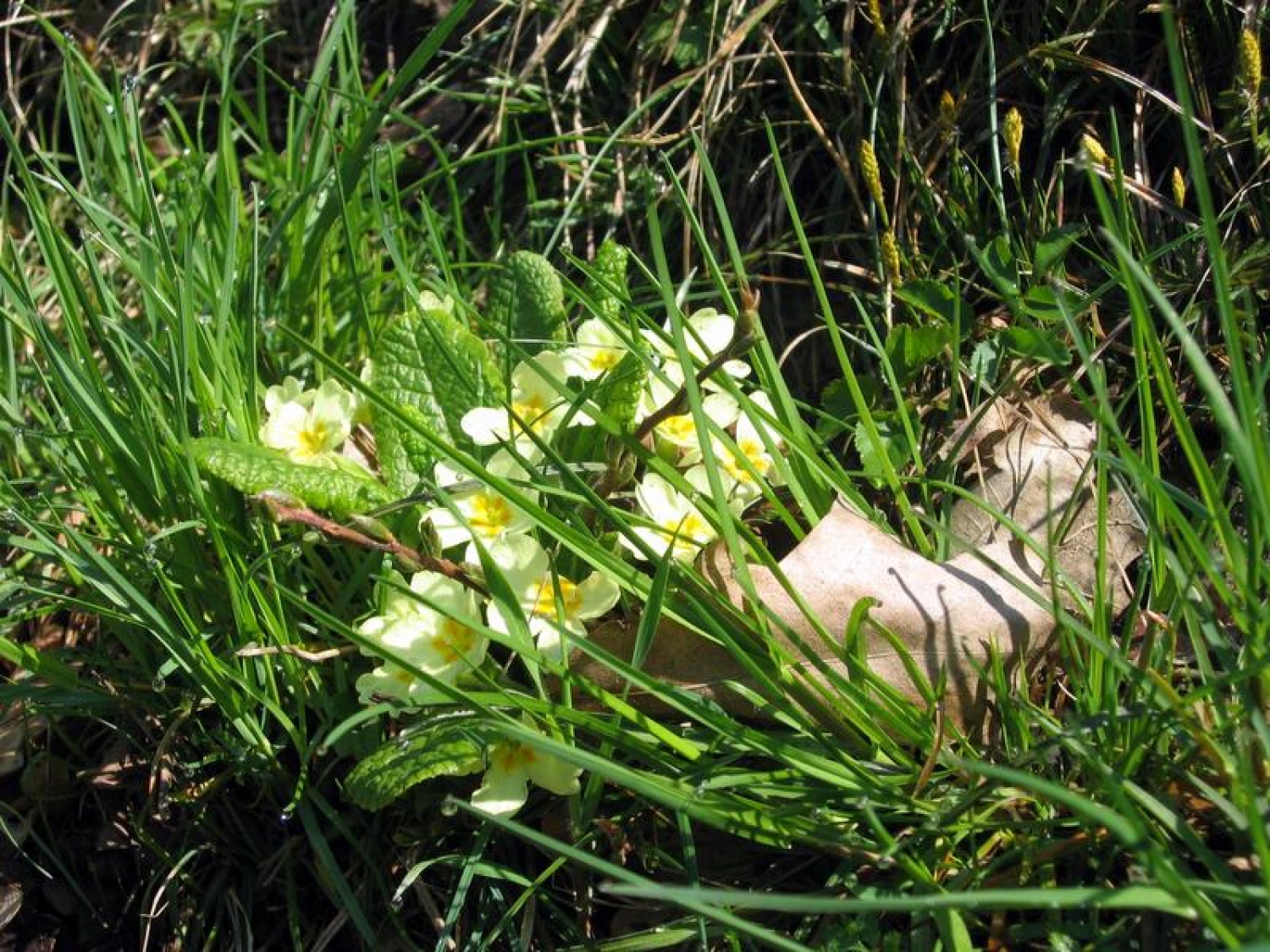 ččččččččččččččččččččččččččččččččččččččč