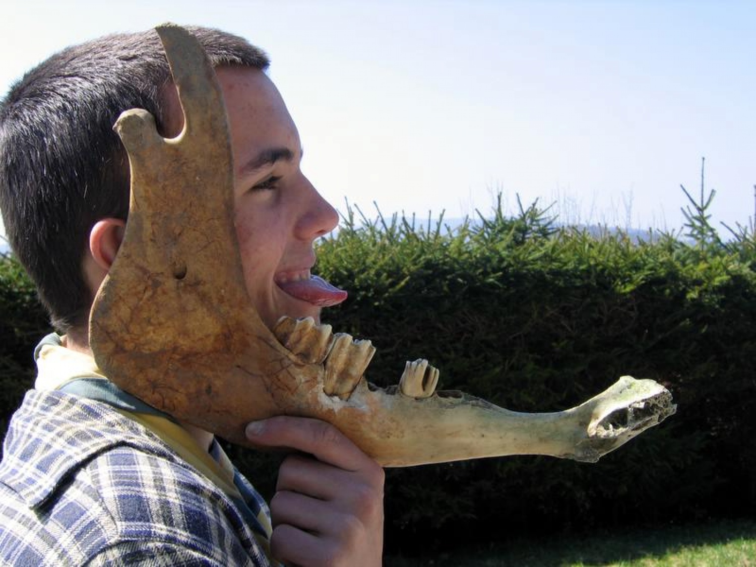 ččččččččččččččččččččččččččččččččččččččč