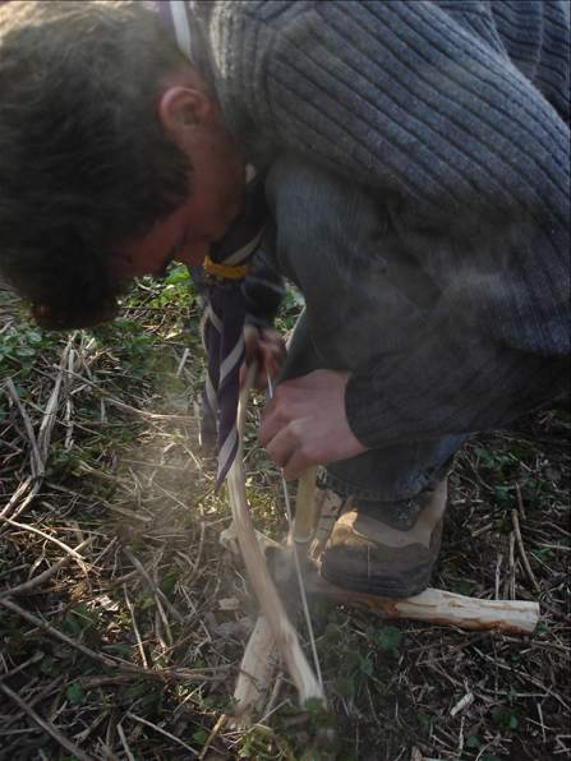 V nedeljo 2. aprila se je SKVO zbral v Bevkah, kjer smo odšli na Bi-Pi-jev prvi tabor na Brownsea. Poskušali smo se vživeti v dogajanje na taboru kot ga je izvedel naš utanovitelj. Na otoku nas je pozdravil Bi-Pi, dvignili smo zastave, postavili šotore (bivake), delali vaje za moč se praktično uposabljali (prva pomoč in reševanje življenaja) in igrali (zasledovanje). Zaključili smo s tabornim ognjem in večerjo (hrenovke+twist).
