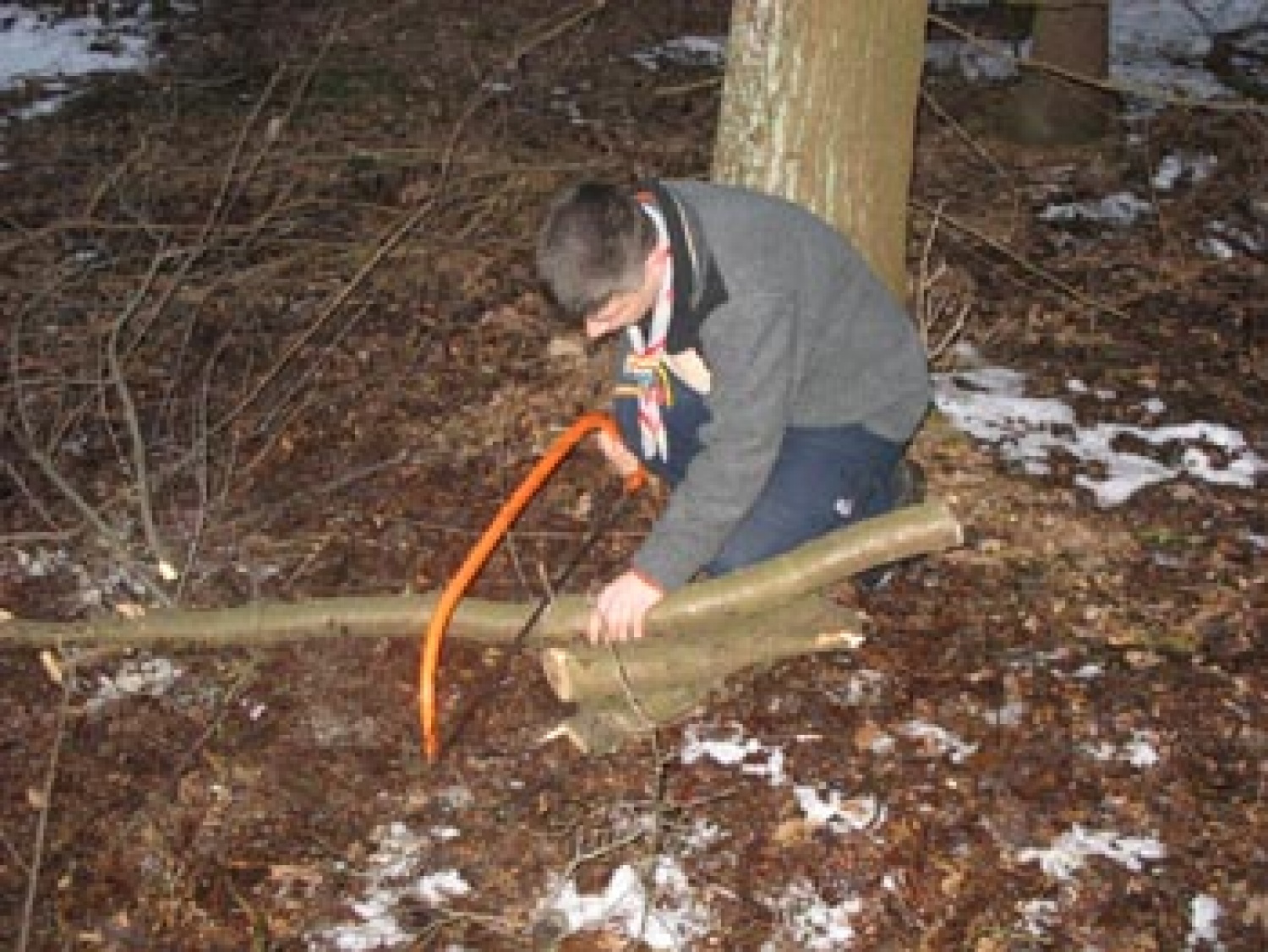 Fotografije z državnega srečanja voditeljev veje IV, ki je potekalo v Dobrovcah.