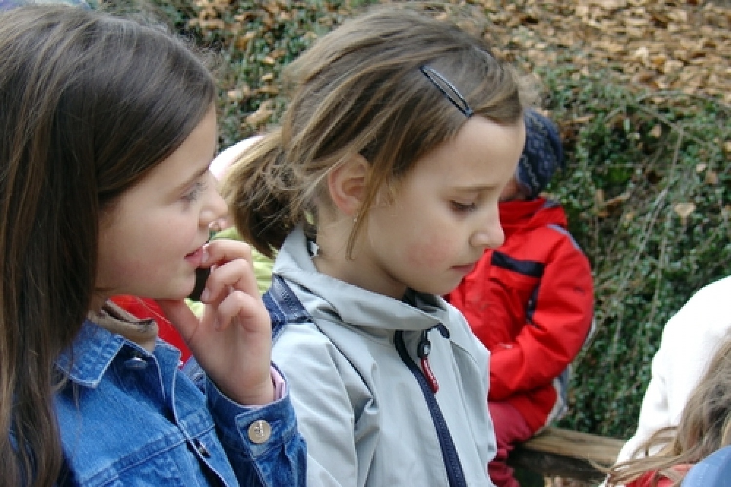 Skavti Triglavskega stega smo se ob Materinskem dnevu staršem zahvalili za njihovo podporo z izletom na Križno goro.