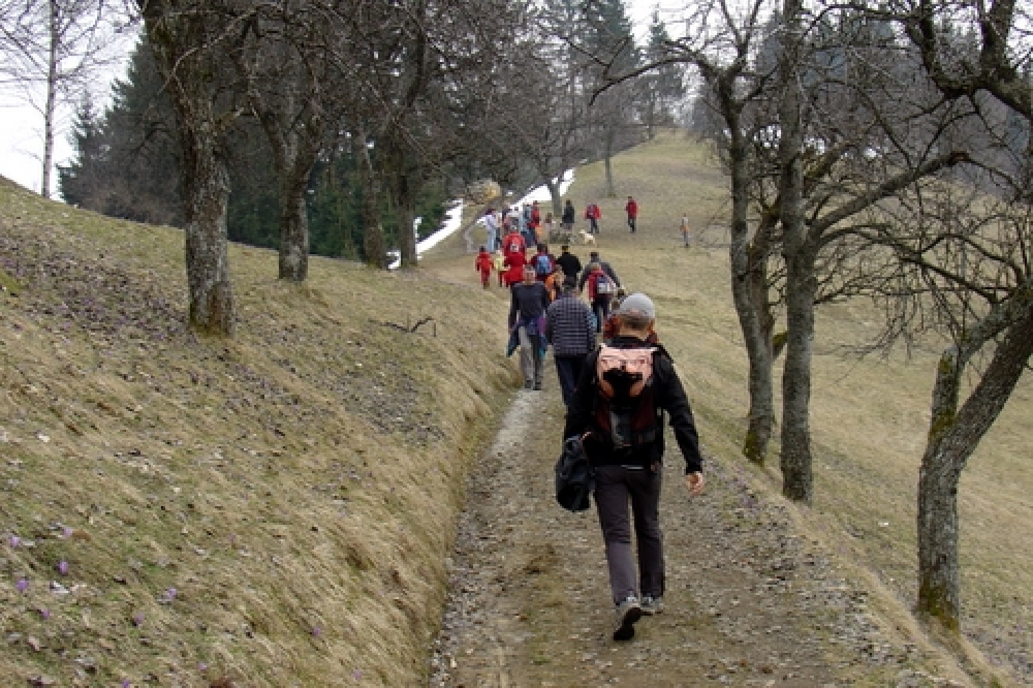 Skavti Triglavskega stega smo se ob Materinskem dnevu staršem zahvalili za njihovo podporo z izletom na Križno goro.