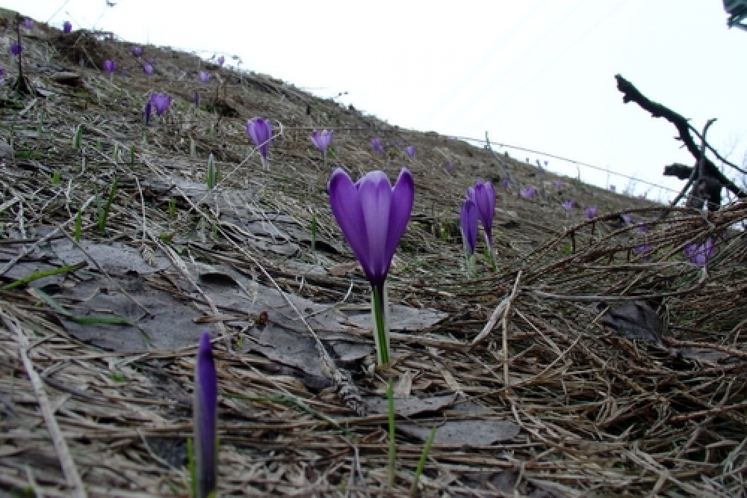 Skavti Triglavskega stega smo se ob Materinskem dnevu staršem zahvalili za njihovo podporo z izletom na Križno goro.