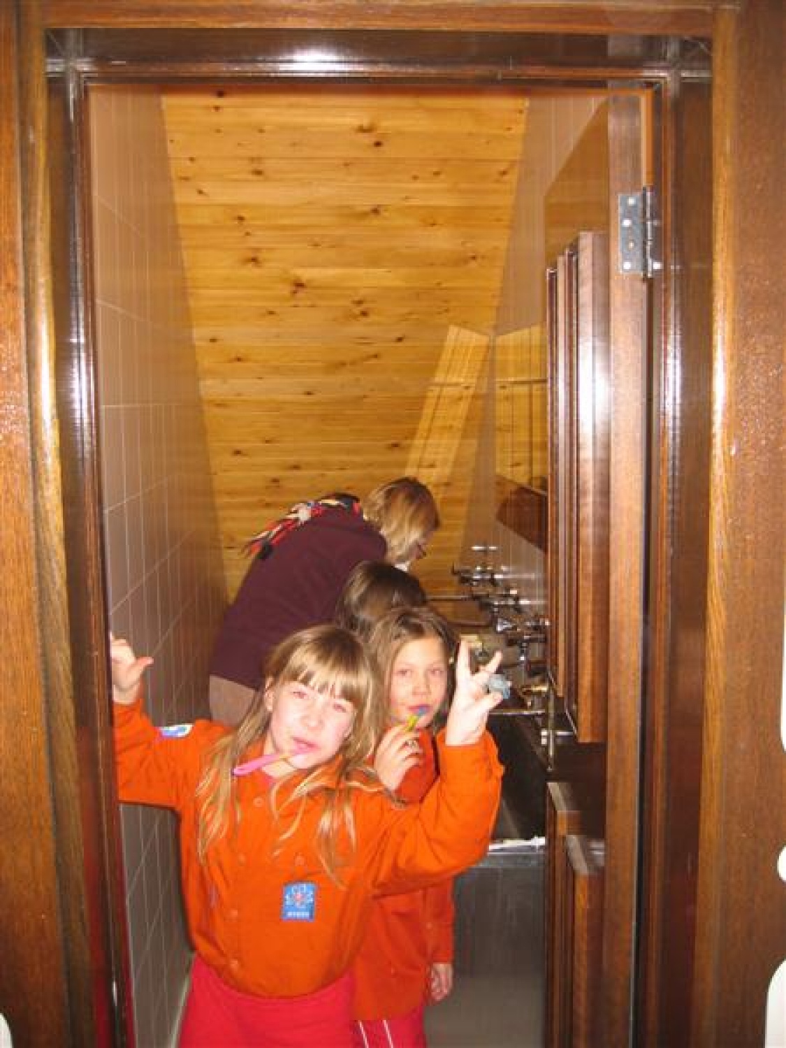 Forografije z zimovanja volčičev.