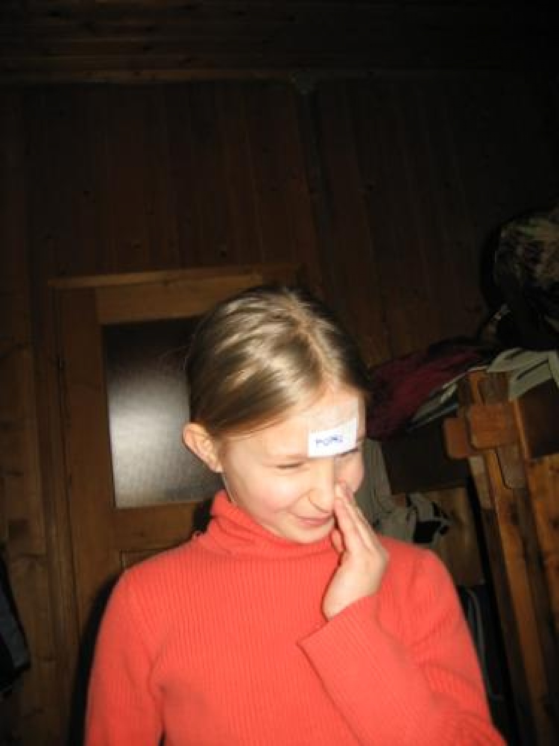 Zimovanje VV in VV v Godoviču