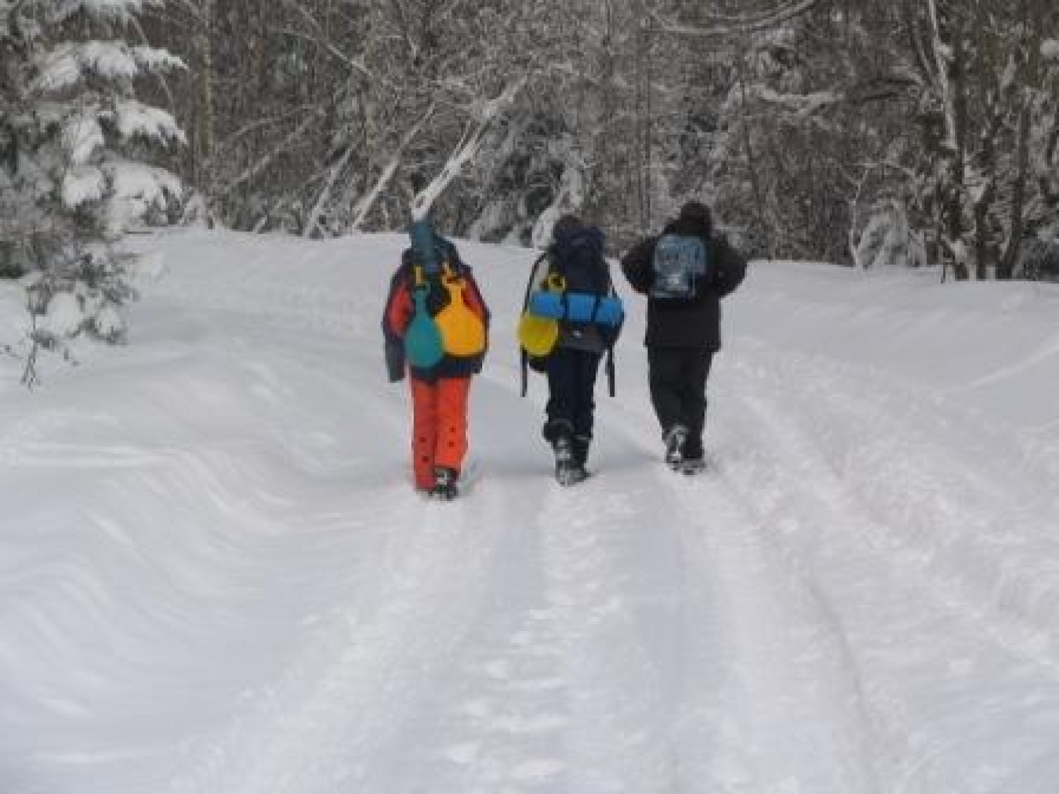 Fotografije z zimovanja IV.