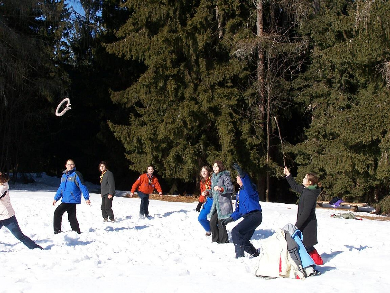 ZIMOVANJE SKVO- jev (Celje 1, Maribor 1, Ptuj 1)