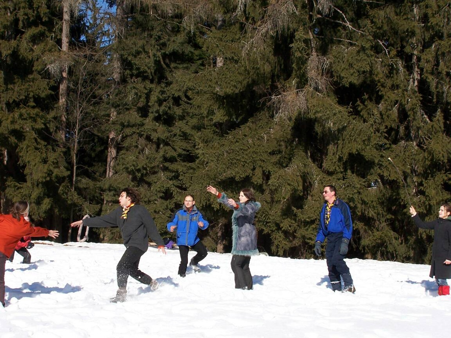 ZIMOVANJE SKVO- jev (Celje 1, Maribor 1, Ptuj 1)