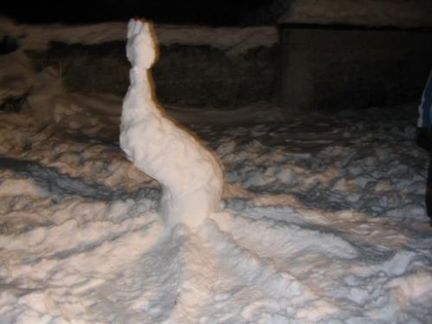 Slike iz prebujanja 2006