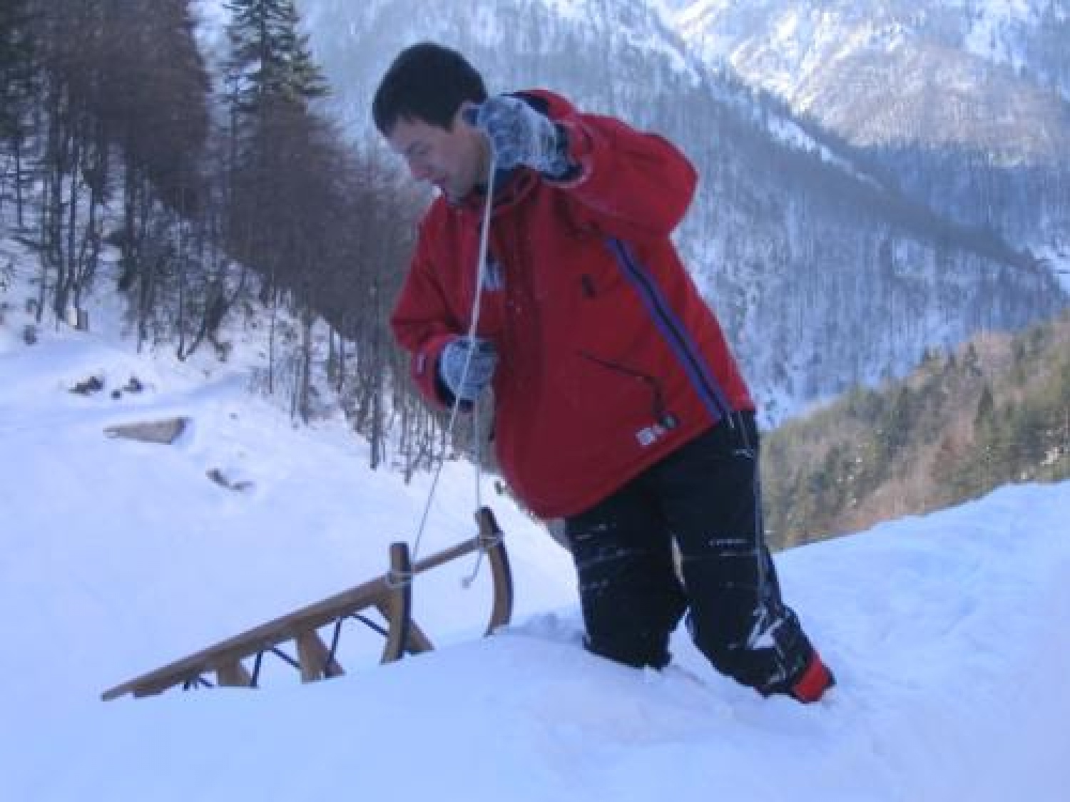 Slike iz prebujanja 2006