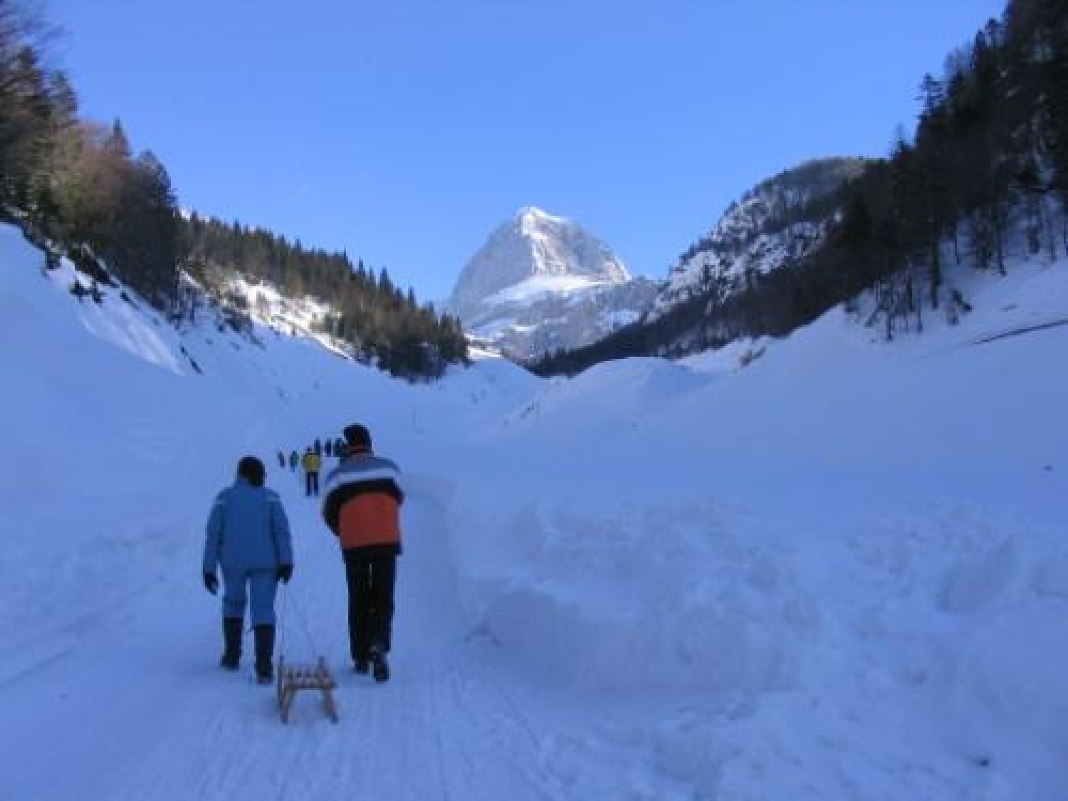 Slike iz prebujanja 2006