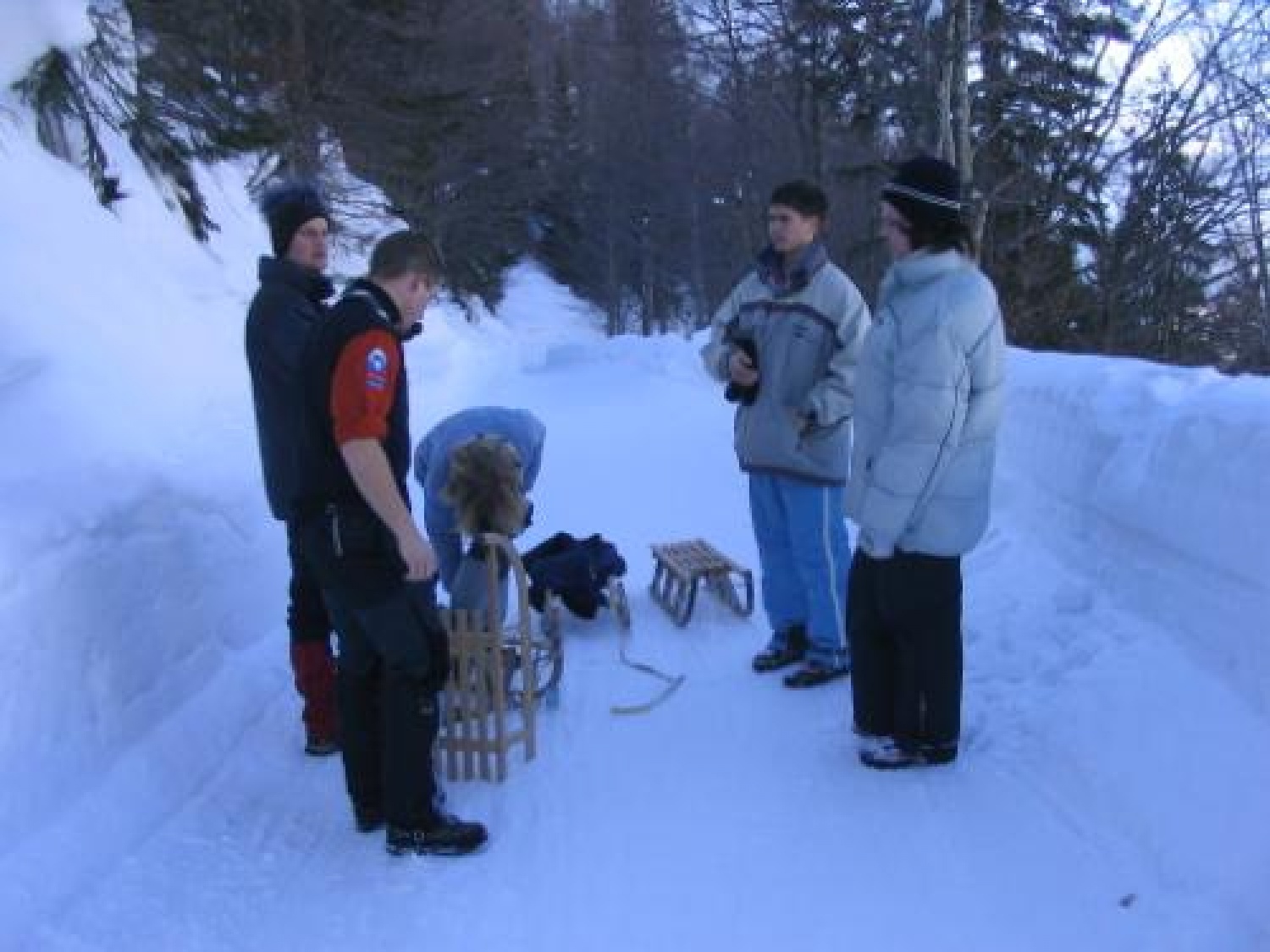 Slike iz prebujanja 2006