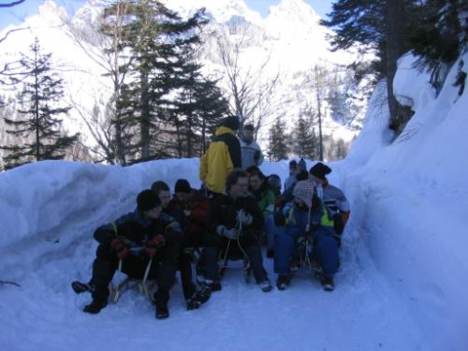 Slike iz prebujanja 2006