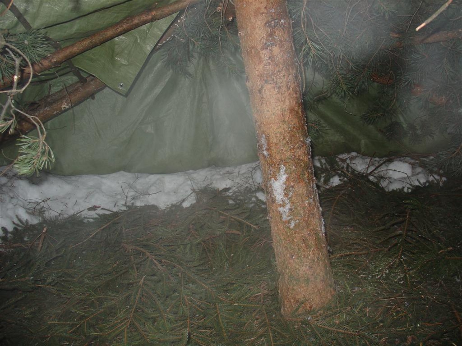 Notranjost preden se je vanjo natlačila podivjana horda