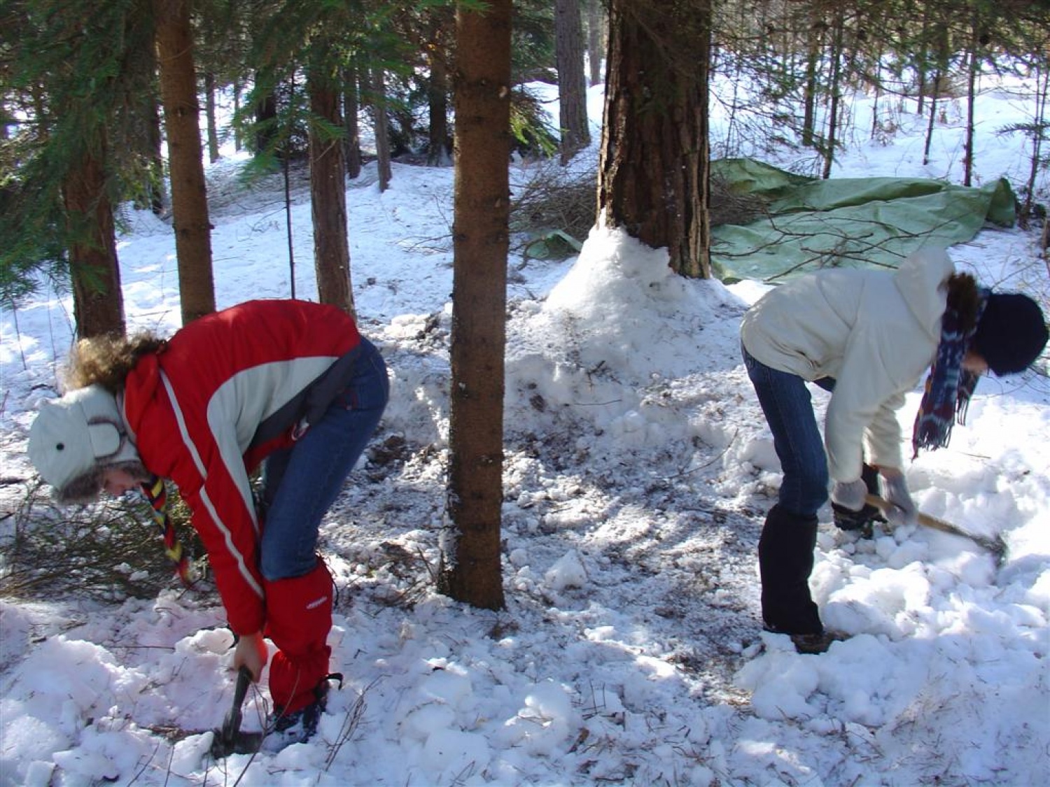 Za začetek smo odstranili sneg