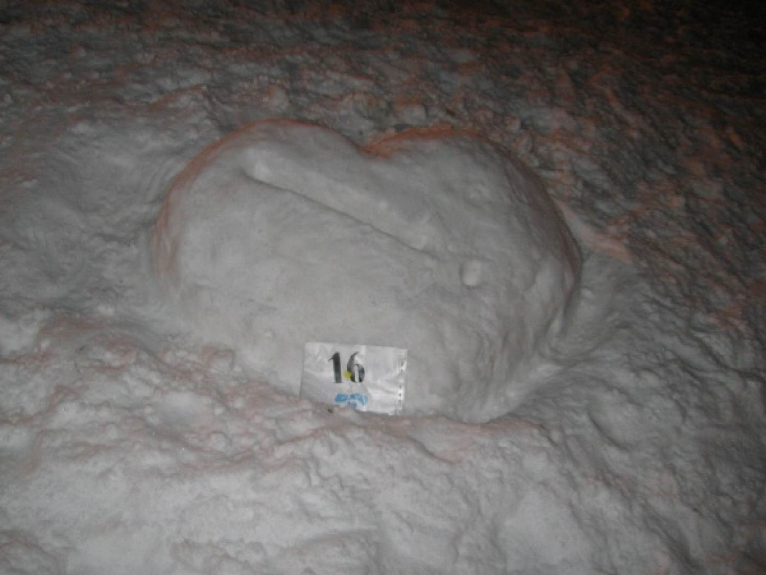 Na slikah lahko vidite trenutke iz skavtske maše. Udeležili so se jo lahko (za skavte je bila obvezna ;-)) tudi starši, dedki, babice in razni hišni ljubljenčki, če le niso bili preveč zmrzljivi. Slikane so tudi naše korenine - s snega. Kar naglejte se jih; Če ne verjamete, da so jih naredili skavti, lahko pokukate še na stran http://celje1.skavt.net ,kjer imamo vse črno na belem. Na koncu pa so nas obiskali čisto pravi Grajski bruhalci ognja.