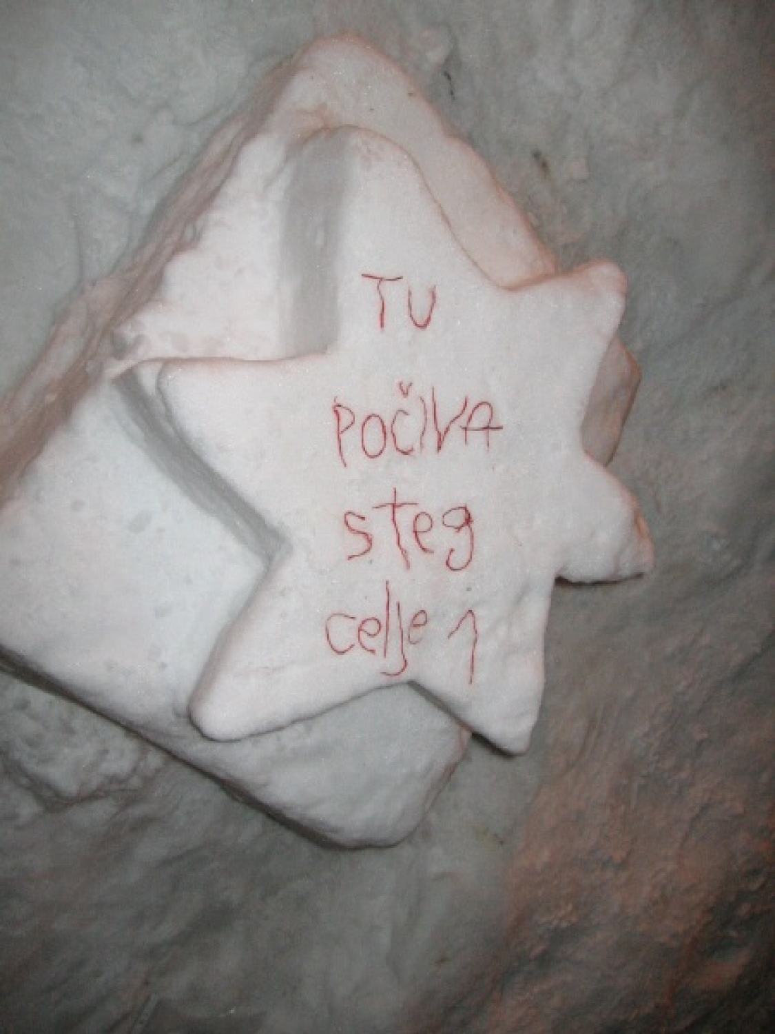 Na slikah lahko vidite trenutke iz skavtske maše. Udeležili so se jo lahko (za skavte je bila obvezna ;-)) tudi starši, dedki, babice in razni hišni ljubljenčki, če le niso bili preveč zmrzljivi. Slikane so tudi naše korenine - s snega. Kar naglejte se jih; Če ne verjamete, da so jih naredili skavti, lahko pokukate še na stran http://celje1.skavt.net ,kjer imamo vse črno na belem. Na koncu pa so nas obiskali čisto pravi Grajski bruhalci ognja.