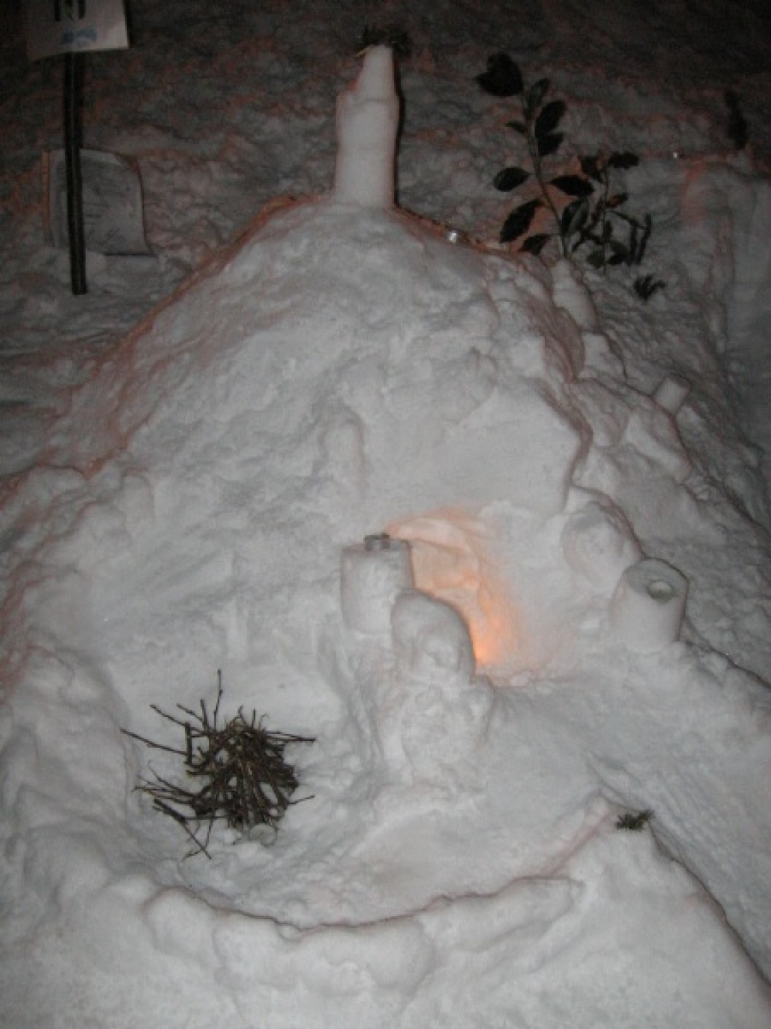 Na slikah lahko vidite trenutke iz skavtske maše. Udeležili so se jo lahko (za skavte je bila obvezna ;-)) tudi starši, dedki, babice in razni hišni ljubljenčki, če le niso bili preveč zmrzljivi. Slikane so tudi naše korenine - s snega. Kar naglejte se jih; Če ne verjamete, da so jih naredili skavti, lahko pokukate še na stran http://celje1.skavt.net ,kjer imamo vse črno na belem. Na koncu pa so nas obiskali čisto pravi Grajski bruhalci ognja.