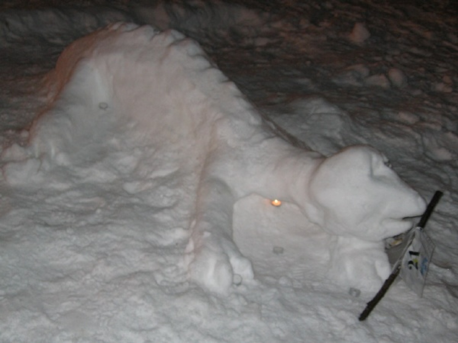 Na slikah lahko vidite trenutke iz skavtske maše. Udeležili so se jo lahko (za skavte je bila obvezna ;-)) tudi starši, dedki, babice in razni hišni ljubljenčki, če le niso bili preveč zmrzljivi. Slikane so tudi naše korenine - s snega. Kar naglejte se jih; Če ne verjamete, da so jih naredili skavti, lahko pokukate še na stran http://celje1.skavt.net ,kjer imamo vse črno na belem. Na koncu pa so nas obiskali čisto pravi Grajski bruhalci ognja.