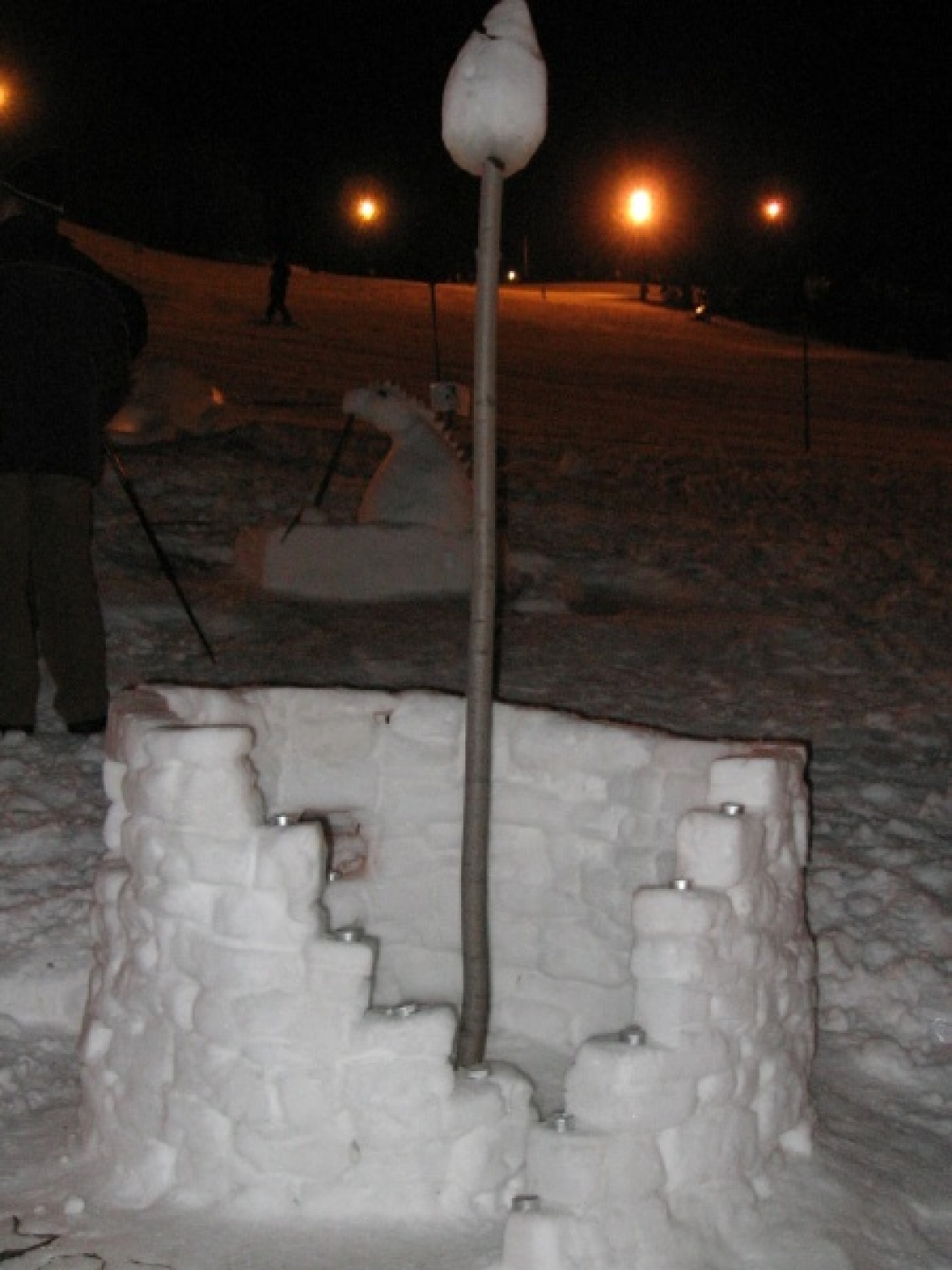 Na slikah lahko vidite trenutke iz skavtske maše. Udeležili so se jo lahko (za skavte je bila obvezna ;-)) tudi starši, dedki, babice in razni hišni ljubljenčki, če le niso bili preveč zmrzljivi. Slikane so tudi naše korenine - s snega. Kar naglejte se jih; Če ne verjamete, da so jih naredili skavti, lahko pokukate še na stran http://celje1.skavt.net ,kjer imamo vse črno na belem. Na koncu pa so nas obiskali čisto pravi Grajski bruhalci ognja.