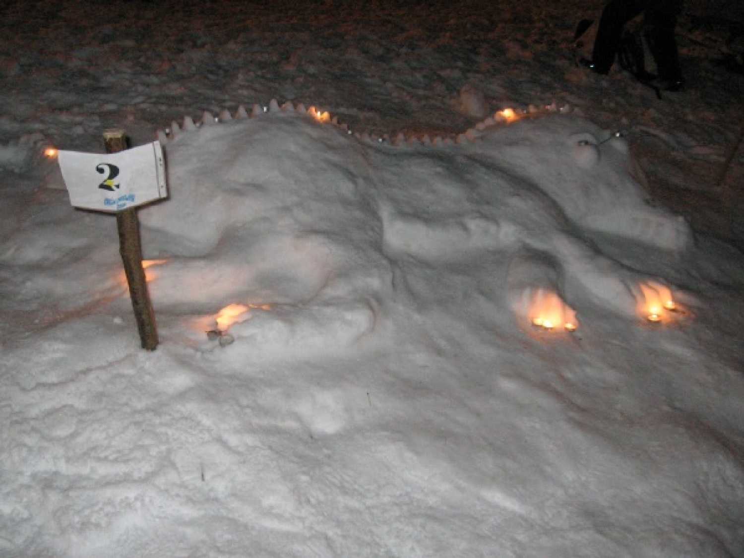 Na slikah lahko vidite trenutke iz skavtske maše. Udeležili so se jo lahko (za skavte je bila obvezna ;-)) tudi starši, dedki, babice in razni hišni ljubljenčki, če le niso bili preveč zmrzljivi. Slikane so tudi naše korenine - s snega. Kar naglejte se jih; Če ne verjamete, da so jih naredili skavti, lahko pokukate še na stran http://celje1.skavt.net ,kjer imamo vse črno na belem. Na koncu pa so nas obiskali čisto pravi Grajski bruhalci ognja.