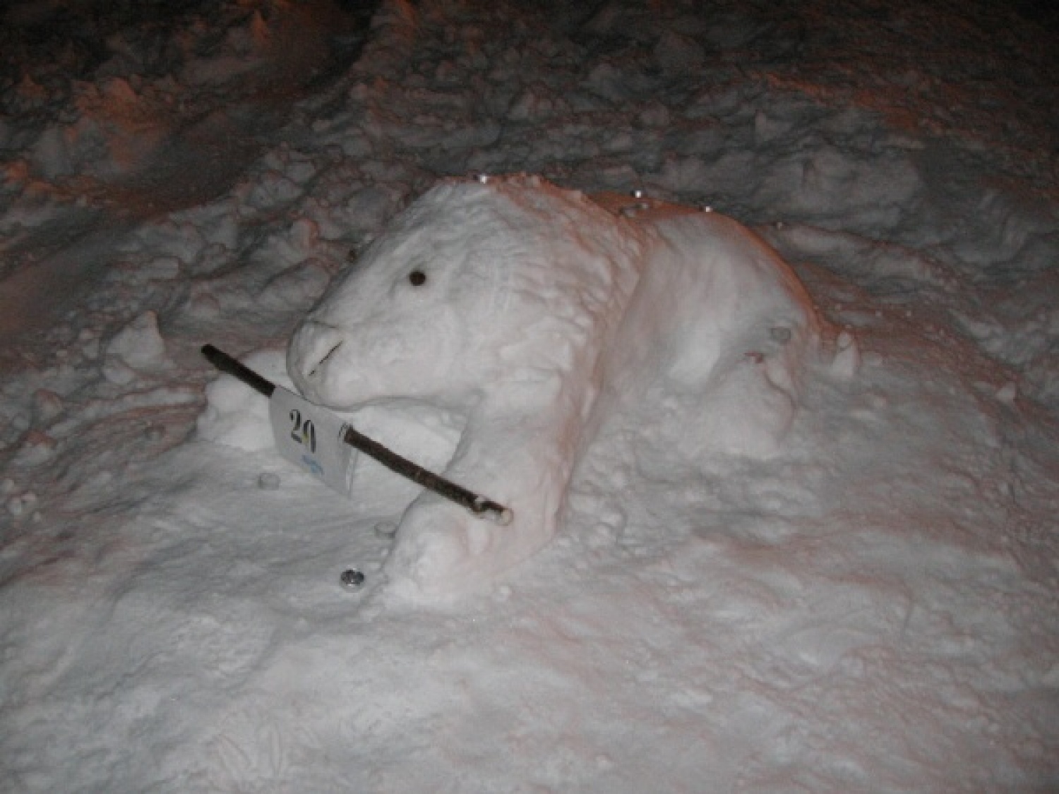 Na slikah lahko vidite trenutke iz skavtske maše. Udeležili so se jo lahko (za skavte je bila obvezna ;-)) tudi starši, dedki, babice in razni hišni ljubljenčki, če le niso bili preveč zmrzljivi. Slikane so tudi naše korenine - s snega. Kar naglejte se jih; Če ne verjamete, da so jih naredili skavti, lahko pokukate še na stran http://celje1.skavt.net ,kjer imamo vse črno na belem. Na koncu pa so nas obiskali čisto pravi Grajski bruhalci ognja.