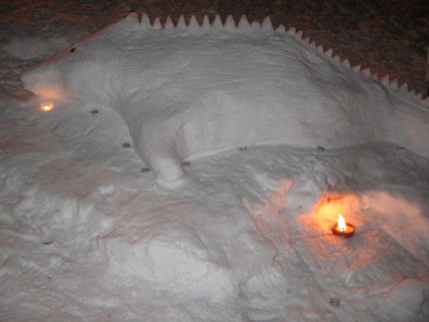 Na slikah lahko vidite trenutke iz skavtske maše. Udeležili so se jo lahko (za skavte je bila obvezna ;-)) tudi starši, dedki, babice in razni hišni ljubljenčki, če le niso bili preveč zmrzljivi. Slikane so tudi naše korenine - s snega. Kar naglejte se jih; Če ne verjamete, da so jih naredili skavti, lahko pokukate še na stran http://celje1.skavt.net ,kjer imamo vse črno na belem. Na koncu pa so nas obiskali čisto pravi Grajski bruhalci ognja.
