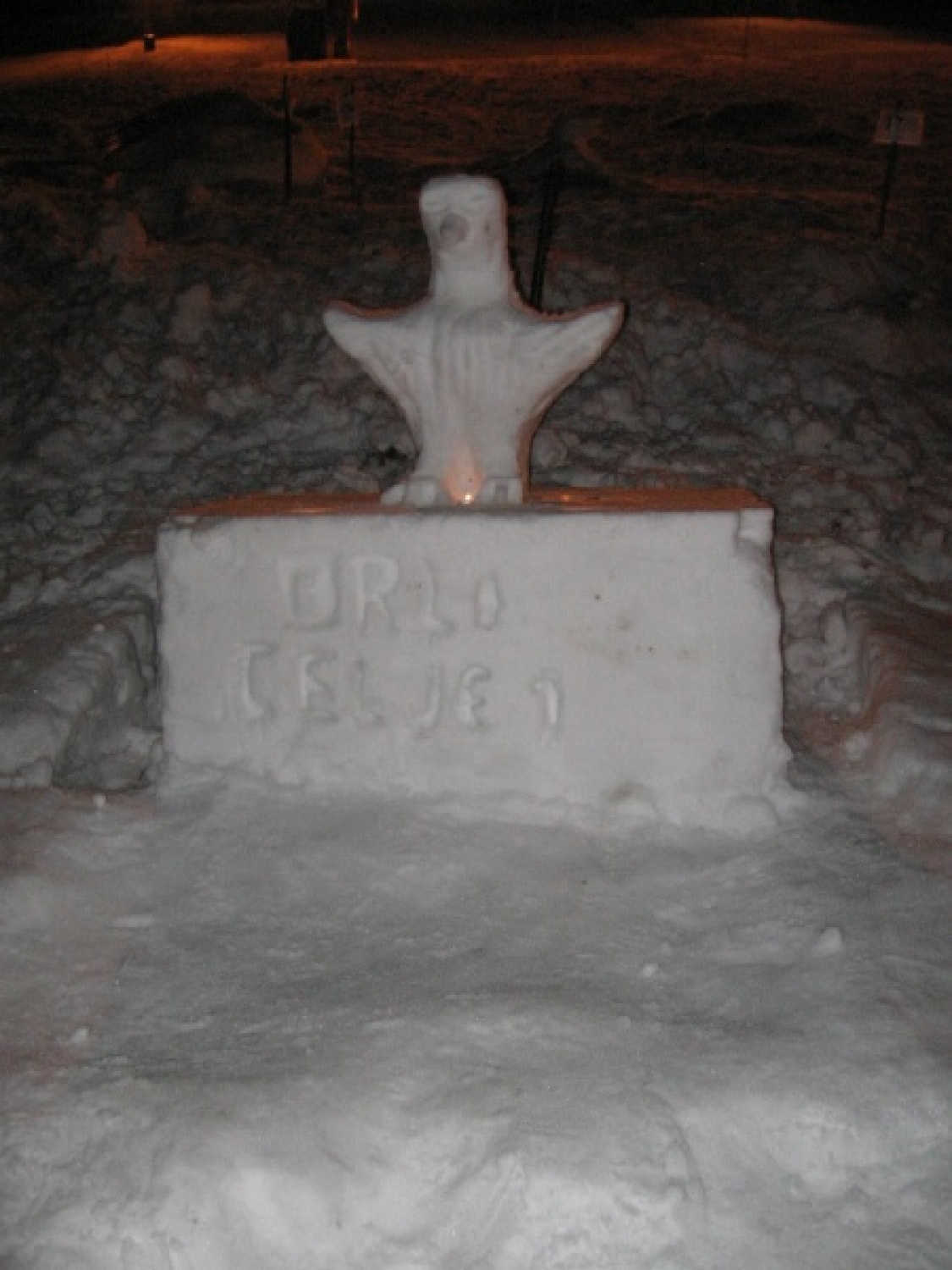 Na slikah lahko vidite trenutke iz skavtske maše. Udeležili so se jo lahko (za skavte je bila obvezna ;-)) tudi starši, dedki, babice in razni hišni ljubljenčki, če le niso bili preveč zmrzljivi. Slikane so tudi naše korenine - s snega. Kar naglejte se jih; Če ne verjamete, da so jih naredili skavti, lahko pokukate še na stran http://celje1.skavt.net ,kjer imamo vse črno na belem. Na koncu pa so nas obiskali čisto pravi Grajski bruhalci ognja.