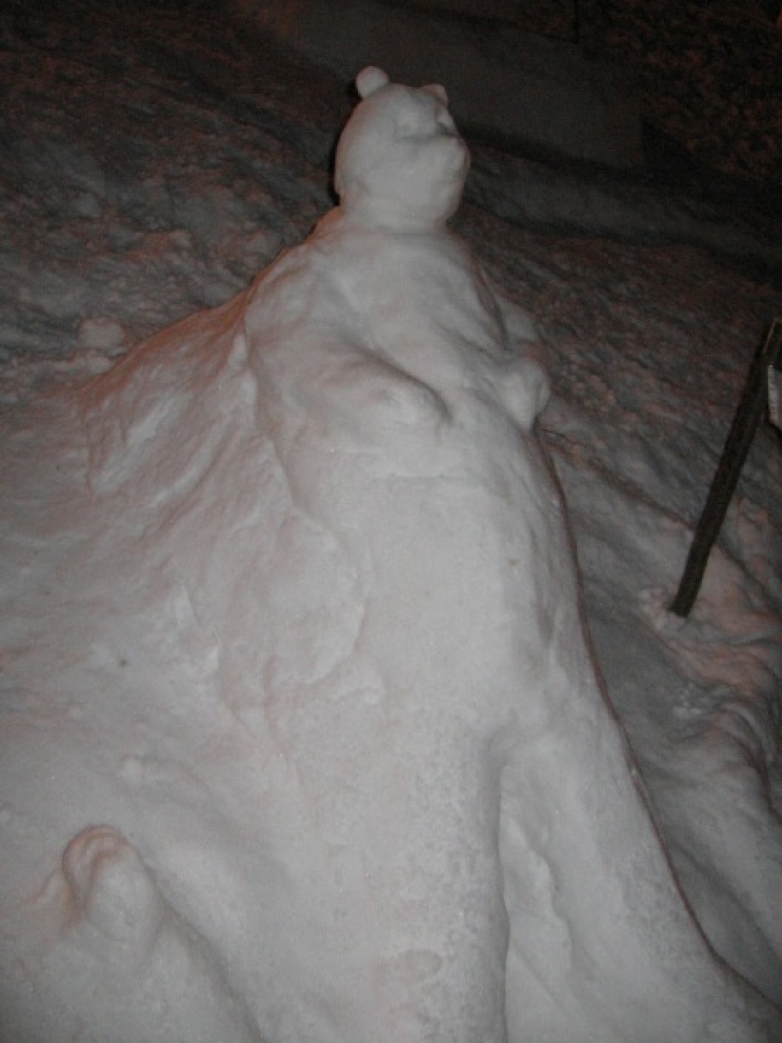 Na slikah lahko vidite trenutke iz skavtske maše. Udeležili so se jo lahko (za skavte je bila obvezna ;-)) tudi starši, dedki, babice in razni hišni ljubljenčki, če le niso bili preveč zmrzljivi. Slikane so tudi naše korenine - s snega. Kar naglejte se jih; Če ne verjamete, da so jih naredili skavti, lahko pokukate še na stran http://celje1.skavt.net ,kjer imamo vse črno na belem. Na koncu pa so nas obiskali čisto pravi Grajski bruhalci ognja.