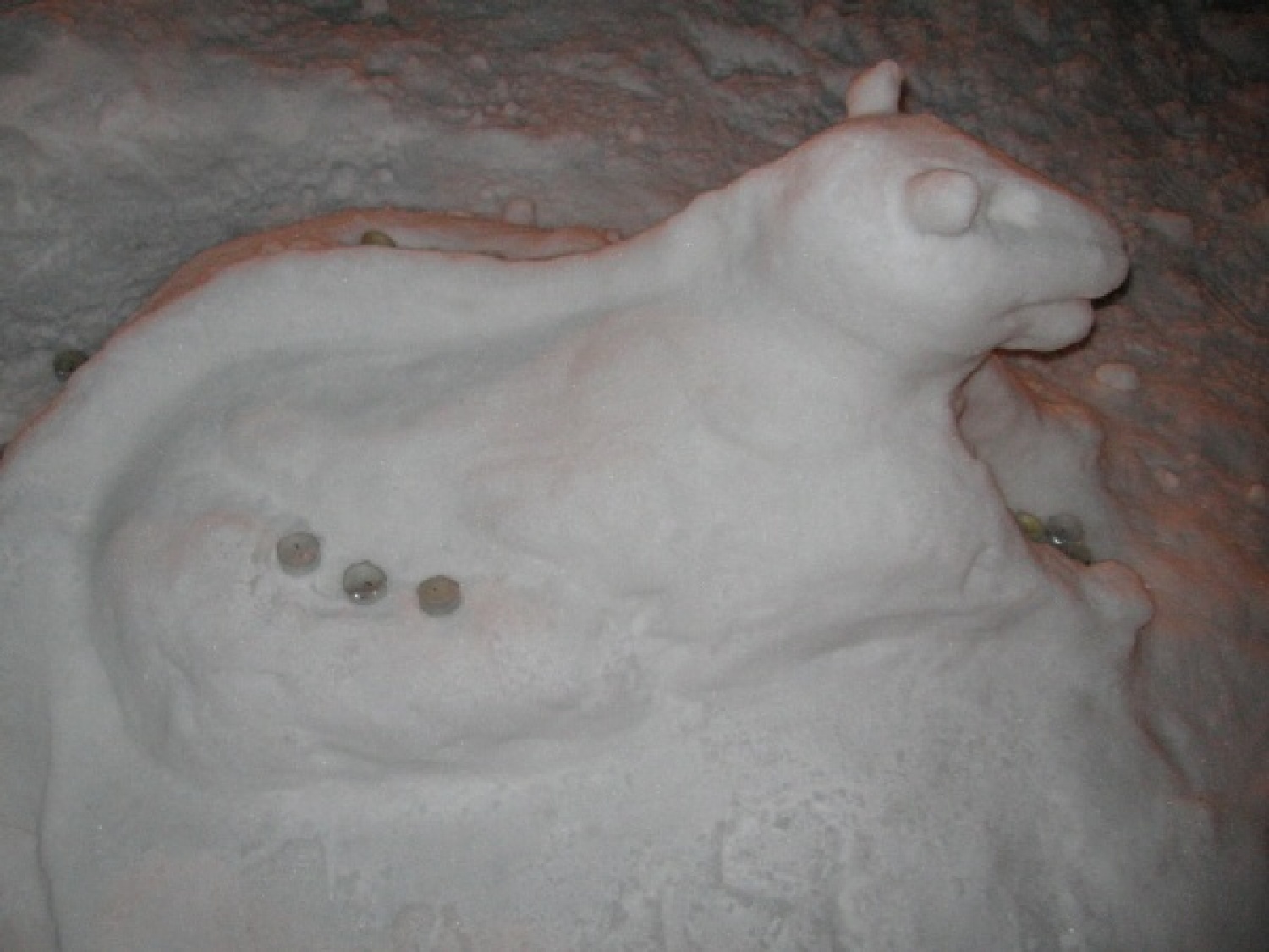 Na slikah lahko vidite trenutke iz skavtske maše. Udeležili so se jo lahko (za skavte je bila obvezna ;-)) tudi starši, dedki, babice in razni hišni ljubljenčki, če le niso bili preveč zmrzljivi. Slikane so tudi naše korenine - s snega. Kar naglejte se jih; Če ne verjamete, da so jih naredili skavti, lahko pokukate še na stran http://celje1.skavt.net ,kjer imamo vse črno na belem. Na koncu pa so nas obiskali čisto pravi Grajski bruhalci ognja.
