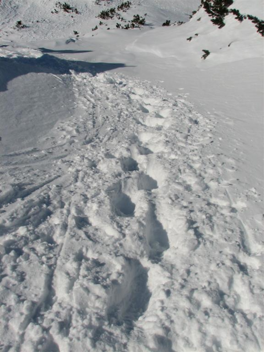 Fotografije s Triglava