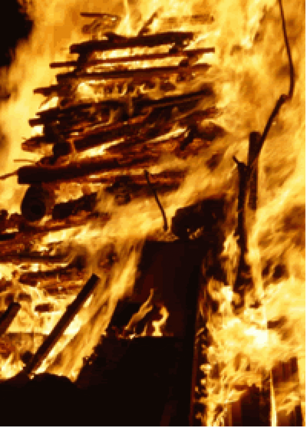 Ko se je spustil mrak, smo najprej prižgali bakle, potem pa še kres.