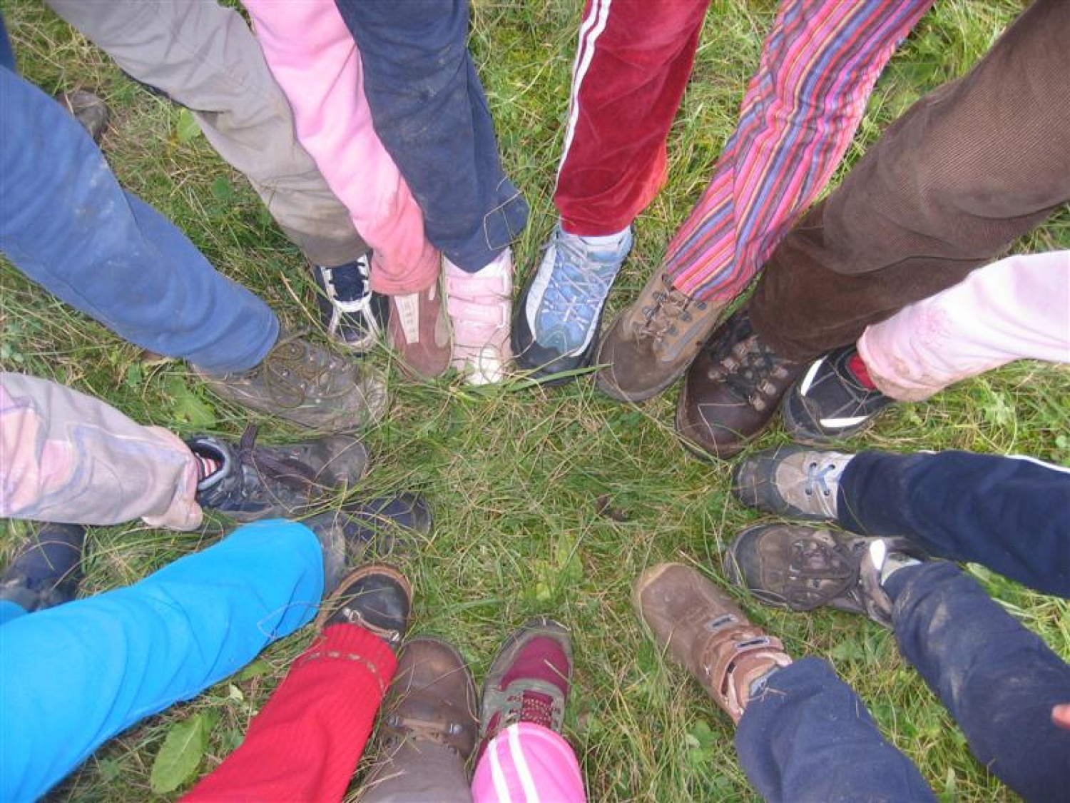 Potepuško krdelo je velika pisana skupnost.