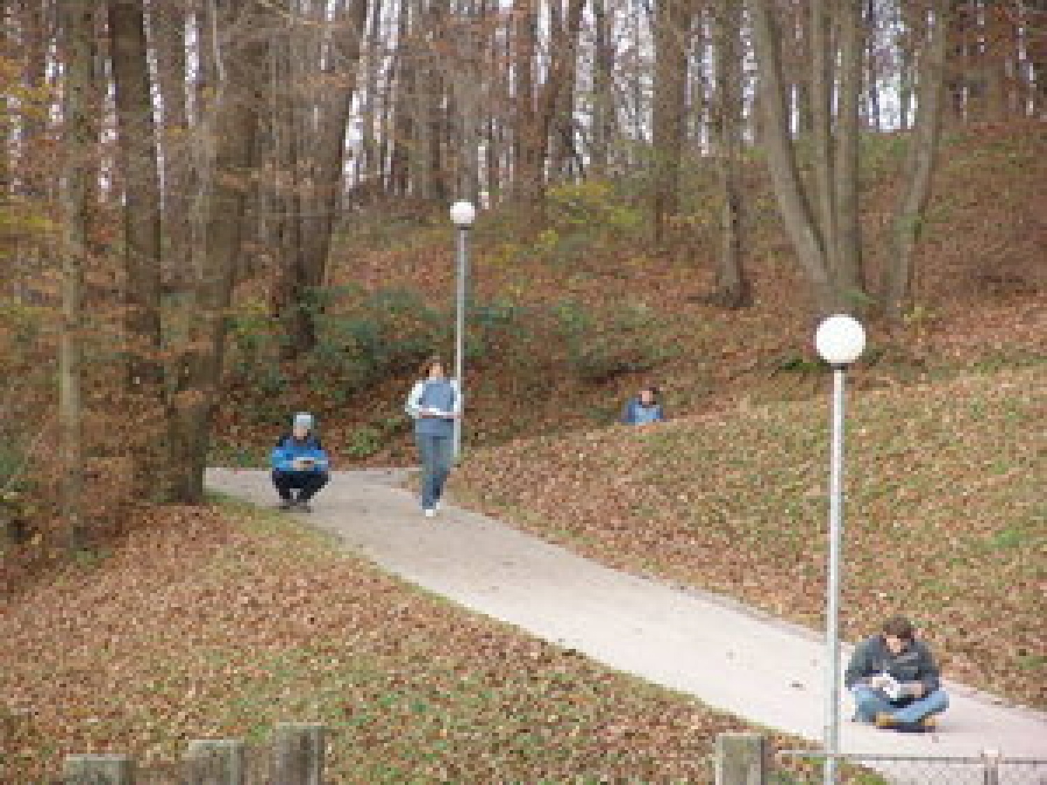 Kaj so že to skavtske korenine?